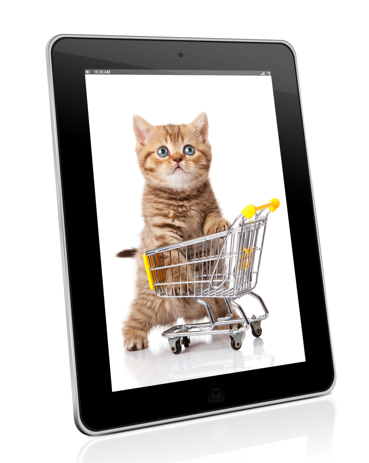 Learn to Sell Pets Online the Safe Way - ArticleCity.com