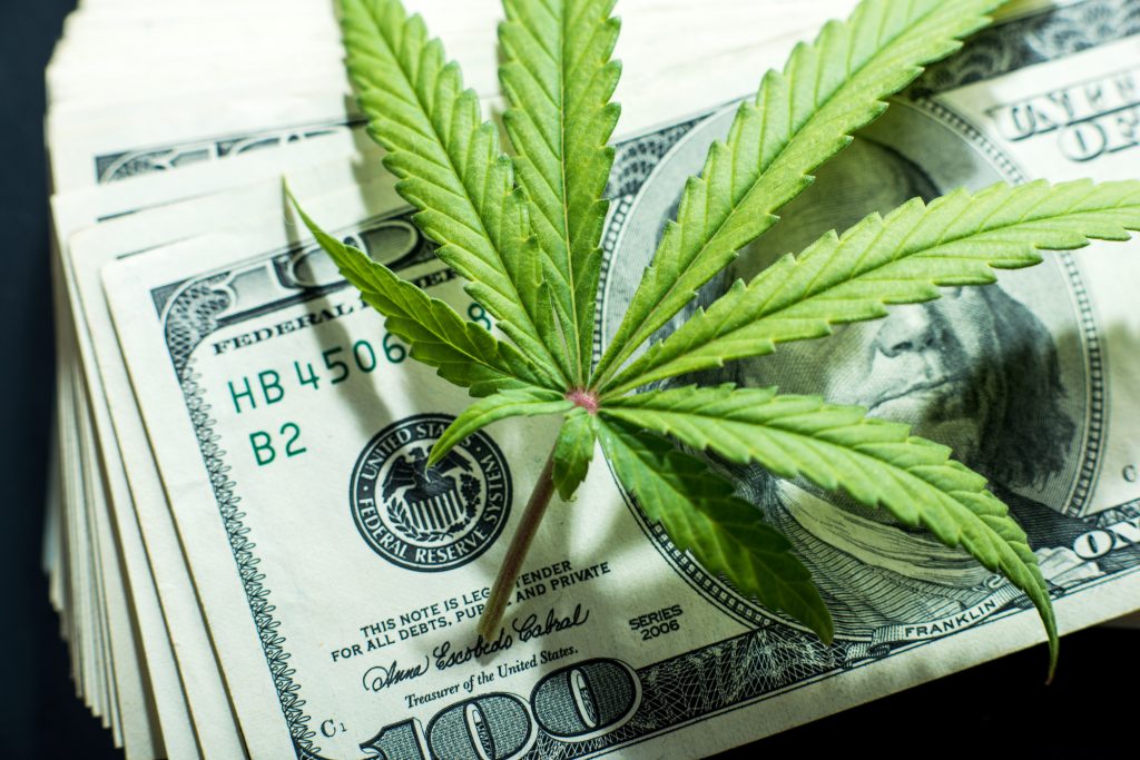 The Ultimate Beginners Guide To Investing In Cannabis Stocks Only Articles