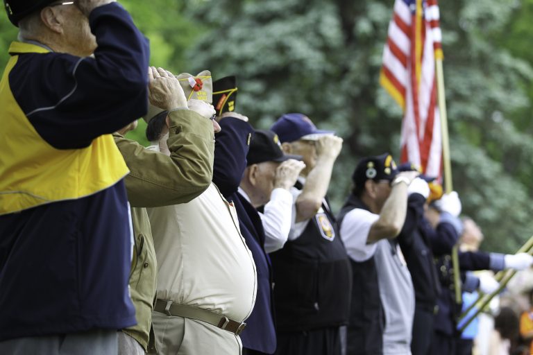 8 Veterans Day Speech Examples to Help You Write Your Own - ArticleCity.com