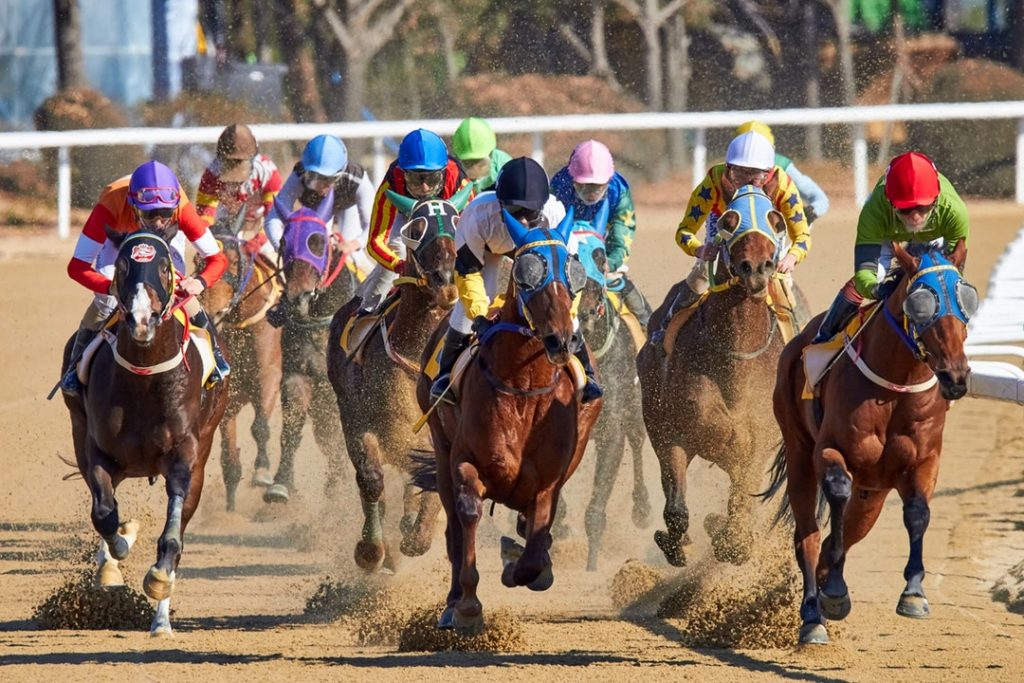 Take Your Horse to the Turf 4 Major Horse Races in the United States