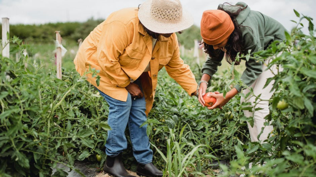 food-security-doesn-t-always-equal-nutrition-articlecity